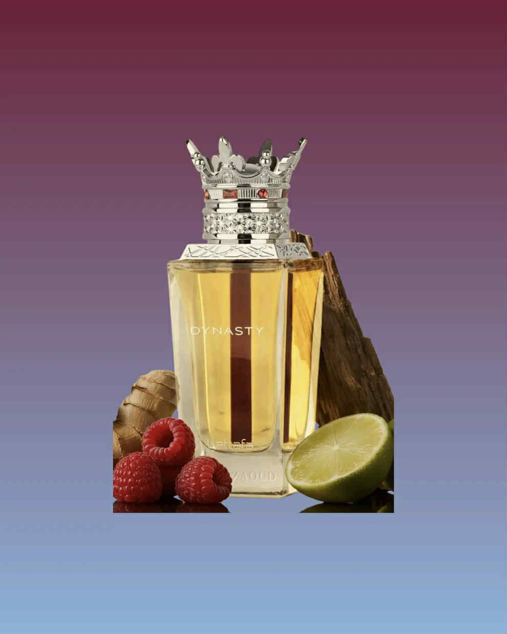 Lattafa Dysnaty Eau de Parfum 100 ml Homem